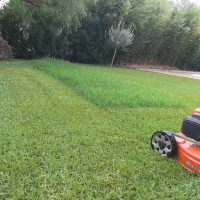 La Brouette Bleue, entretien de jardins et des espaces verts, ramassage des feuilles, nettoyage des accès, débroussaillage...Toulon - VAR
