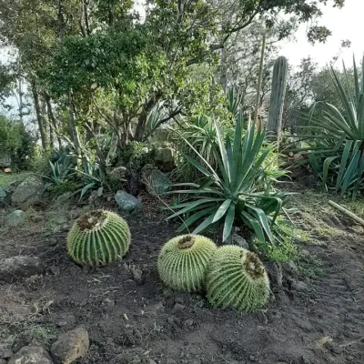 La Brouette Bleue, entretien de jardins et des espaces verts, ramassage des feuilles, nettoyage des accès, débroussaillage...Toulon - VAR